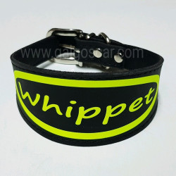 Collar galgo y whippet  negro  personalizado en diferentes medidas y colores , glitter o neón.  Para galgo, whippet y piccolo,