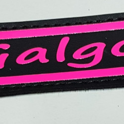 Collar galgo y whippet  negro  personalizado en diferentes medidas y colores , glitter o neón.  Para galgo, whippet y piccolo,