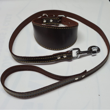 Pack Promoción Collar y Correa de Cuero para Galgos, whippet o picollo