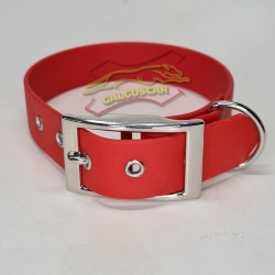 Collar perro de BIOLEATHER  en varios colores opción de personalizar