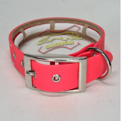 Collar perro de BIOLEATHER  en varios colores opción de personalizar