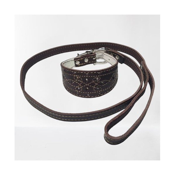 Pack Promoción Collar  labrado y Correa de Cuero para Galgos, whippet o picollo