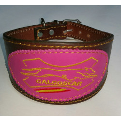 Collar galgo cuero "Galcolor" bordado colores galgoscar 