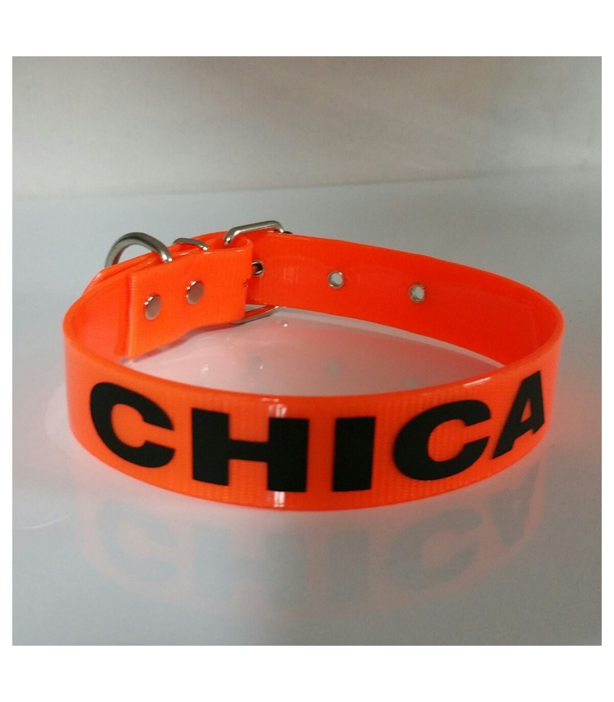 roble Gratificante Joven Collar de biothane personalizado naranja, grabado, para perro de caza o  compañia naranja