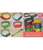 Collares para Perros de Cuero, Biothane o Nylon con Funda para Collar Antiparasitario