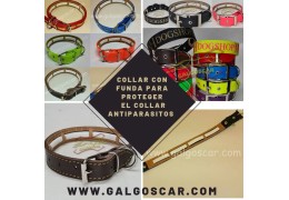 🐾 Collares con funda para collar antiparasitario: protección, comodidad y diseño artesanal