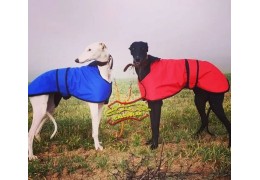 Abrigos, mantas, manteletas para galgos: el accesorio ideal para cuidar a tu campeón!