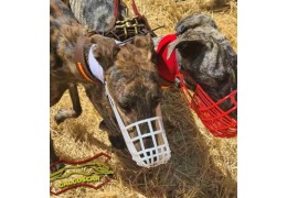 Tipos de bozales para galgos: Cómo elegir entre bozal de canódromo, especial de carrera y antiladrído